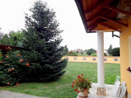 Κήπος έξω από το Georgina Apartman