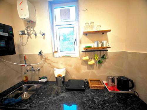 Η κουζίνα ή μικρή κουζίνα στο Manor 24 by Vish