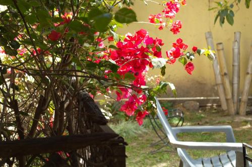 a white chair sitting next to a bunch of pink flowers at Rutas Hotel in Salta