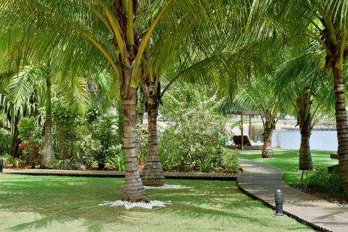 a group of palm trees in a park at Pestana Sao Tome in São Tomé