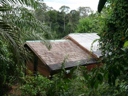 a small house in the middle of a forest at Paganakan Dii Tropical Retreat in Sepilok