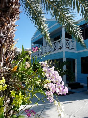 a blue house with flowers in front of it at Buccaneer Beach Club in Dickenson Bay