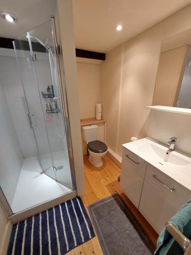 un bagno con doccia, lavandino e WC di L'Echappée Normande a Saint-James