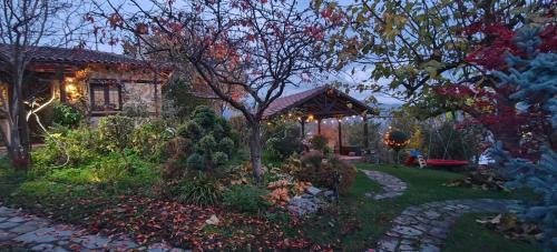 Κήπος έξω από το Eden Stay