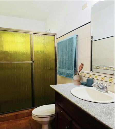 a bathroom with a toilet and a sink and a shower at Villa Solazur - ocean view in Bocas Town