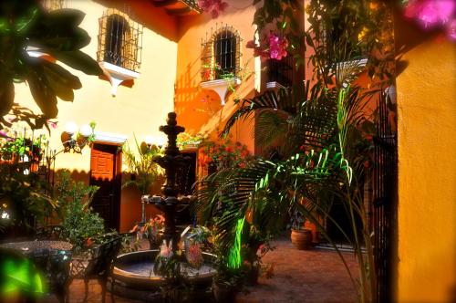 a courtyard with a bunch of plants in a building at Suites La Hacienda in Puerto Escondido