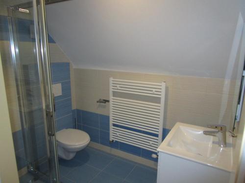 een badkamer met een toilet en een wastafel bij Villa Joanna in Františkovy Lázně