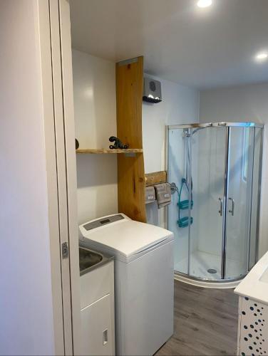 a bathroom with a washing machine and a shower at Birchwood in Wanaka