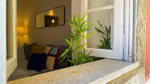 Downtown Charming Apartment