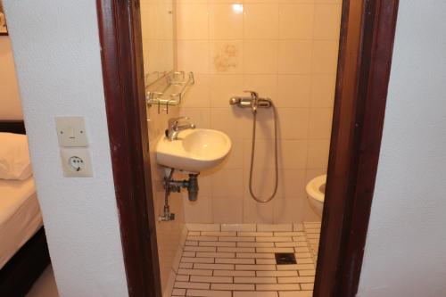 a small bathroom with a sink and a shower at Bougainvillea in Andros