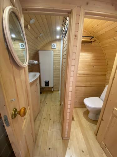 ein kleines Badezimmer mit Toilette und Waschbecken in der Unterkunft Roulotte avec spa privé in Villé