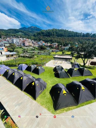 a bunch of black tents sitting on the grass at Ndalem Prabu Sarangan in Sarangan