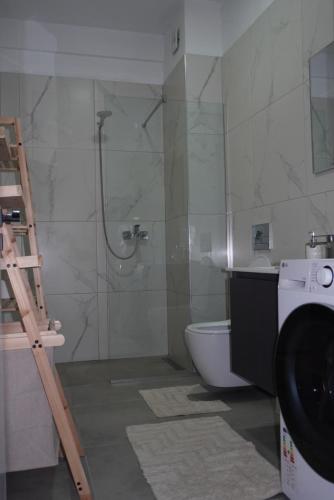 a bathroom with a shower and a toilet and a ladder at DREAM Apartment in Kamëz