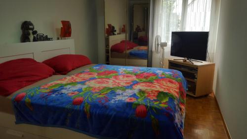 a bedroom with a bed with a colorful comforter and a television at Appartement partagé avec couchage sur un grand matelas au sol au salon in Yverdon-les-Bains