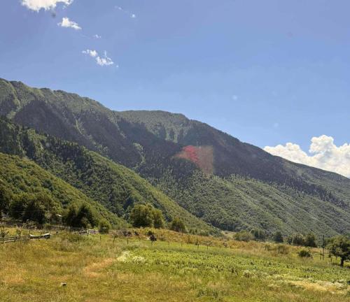 Příroda nedaleko hotelu