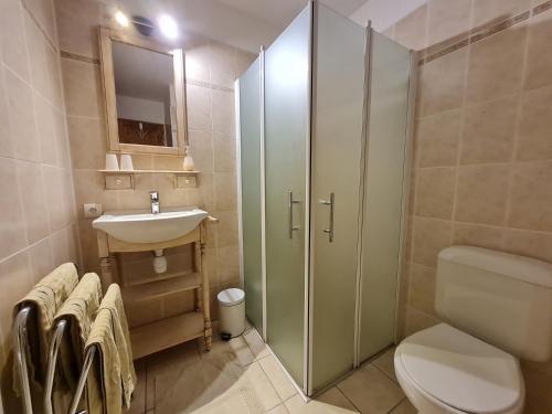 a bathroom with a shower and a toilet and a sink at "Chambre Rose", L'Ancienne Poterie in Nancray-sur-Rimarde