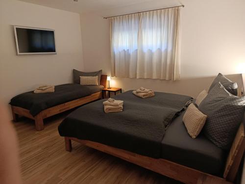een slaapkamer met 2 bedden en een raam met een tv bij Ferienwohnung Vogelsang in Stans