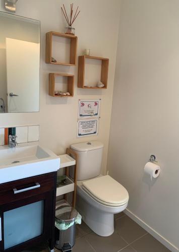 a bathroom with a toilet and a sink and a mirror at Ocean view haven in Matapouri