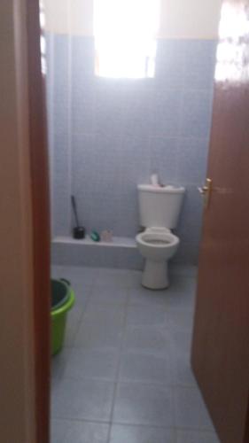 a bathroom with a white toilet in a room at Victorian Haven in Eldoret