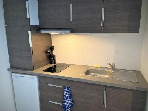 eine kleine Küche mit Spüle und Kühlschrank in der Unterkunft Studio dans l'hypercentre de Limoges in Limoges