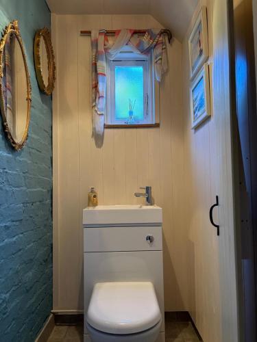 a bathroom with a toilet and a window at Cosy Flint Cottage in Eastbourne