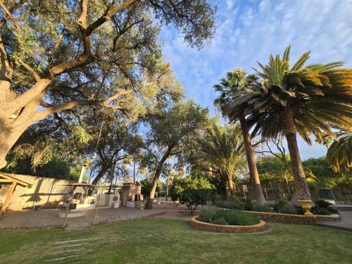 un parque con palmeras en un día soleado en Vogelsang Guesthouse, en Omaruru