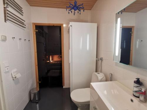 un bagno con un water, un lavandino e uno specchio di Villa Aurora a Syöte