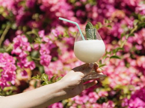 Напитки в Avondrust Guest House