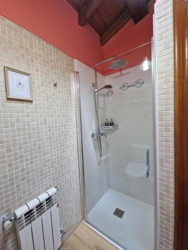 a bathroom with a shower and a toilet at Casa Laudina y Armando in Brañella