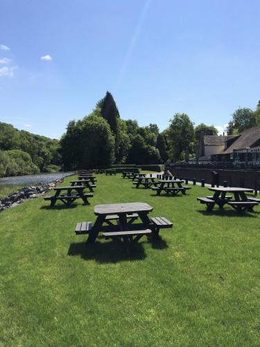 a group of picnic tables in the grass near a river at Half Moon Jackfield in Bridgnorth