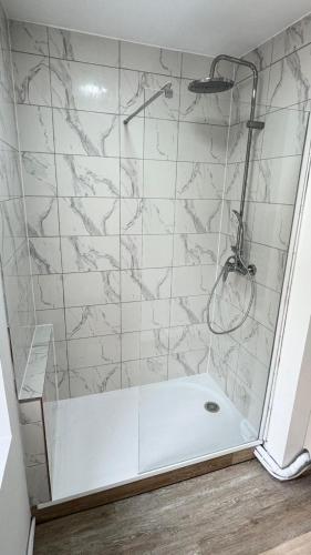 Cosy 5 - Belfort centre في بلفور: دش مع باب زجاجي في الحمام