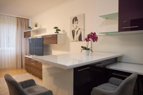 Kuchyň nebo kuchyňský kout v ubytování Beautiful Residence