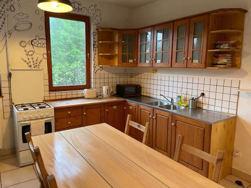 Una cocina o kitchenette en Balázs Guesthouse - in a green area, with our own garden - next to Metro 4 station