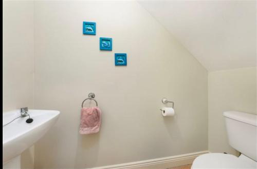 3 Cosy Bedrooms in a House 6 people في تيريلسْتاون: حمام أبيض مع مرحاض ومغسلة