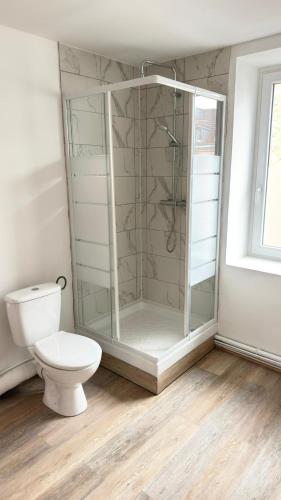 ベルフォールにあるCinema Room - Belfortのトイレとガラスのシャワー付きのバスルーム
