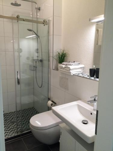 a bathroom with a shower and a toilet and a sink at Bärengasse Apartments in Freinsheim