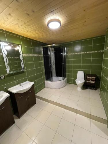 een groene badkamer met een toilet en een wastafel bij Ubytovanie u Grófa in Turany
