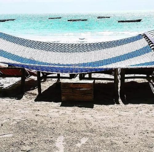 Gallery image of Sipano Beach Lodge Kiwengwa in Kiwengwa