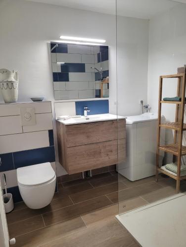 a bathroom with a toilet and a sink and a mirror at la maison du grand mas in Mouret