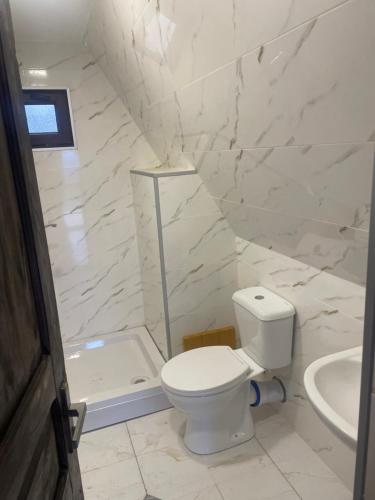 a white bathroom with a toilet and a sink at Sunset Cottage Busheti in Busheti