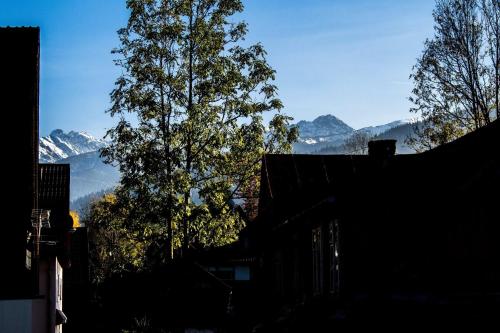 a view of a tree and mountains in the distance at Willa Vera Zakopane in Zakopane
