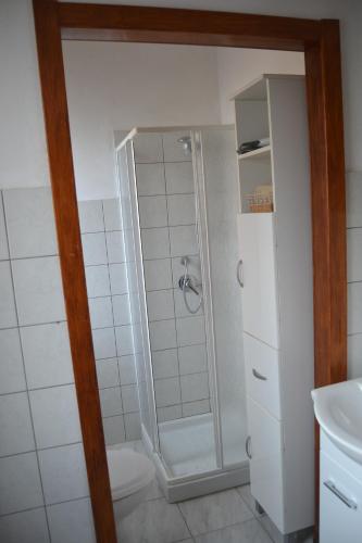 a bathroom with a shower with a toilet and a sink at The Domus in Olmedo