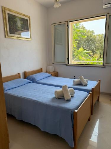 Agriturismo Le Ville con Piscina idromassaggio, Capo Vaticano