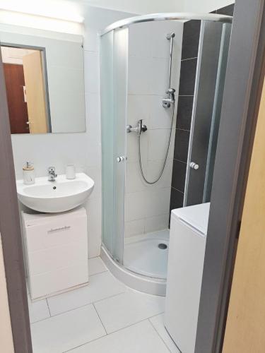 a bathroom with a shower and a sink at Apartman MWM Brno in Brno