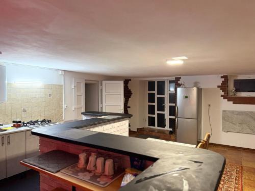 a kitchen with a counter top and a refrigerator at Garage in Yaremche
