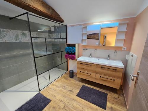 une salle de bain avec lavabo et douche dans l'établissement Gites de groupes Les Muriers, à Bourgvilain