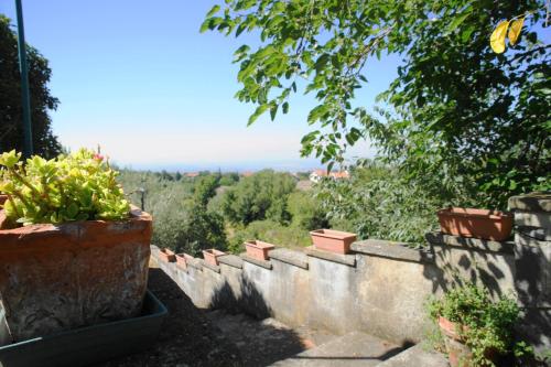 a retaining wall with potted plants on top of it at Etna Paradise locazioni brevi in Ragalna