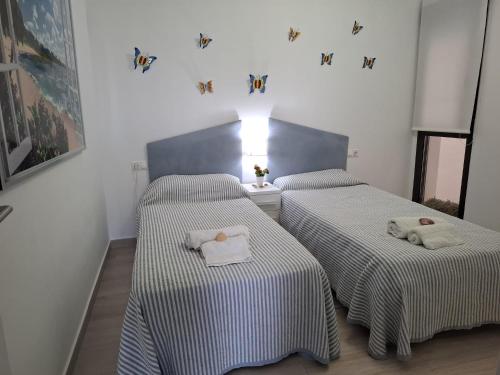 Galeriebild der Unterkunft AL048 Pinada Beach IV La Mata in La Mata