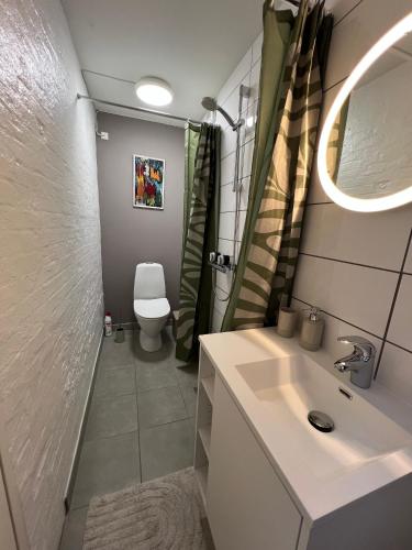 a bathroom with a sink and a toilet and a mirror at The Cozy Cave Odense Center in Odense