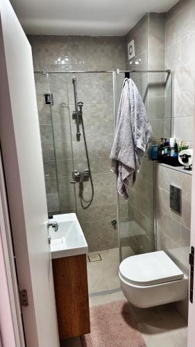 a bathroom with a shower and a toilet and a sink at Studio Nordik in Divčibare
